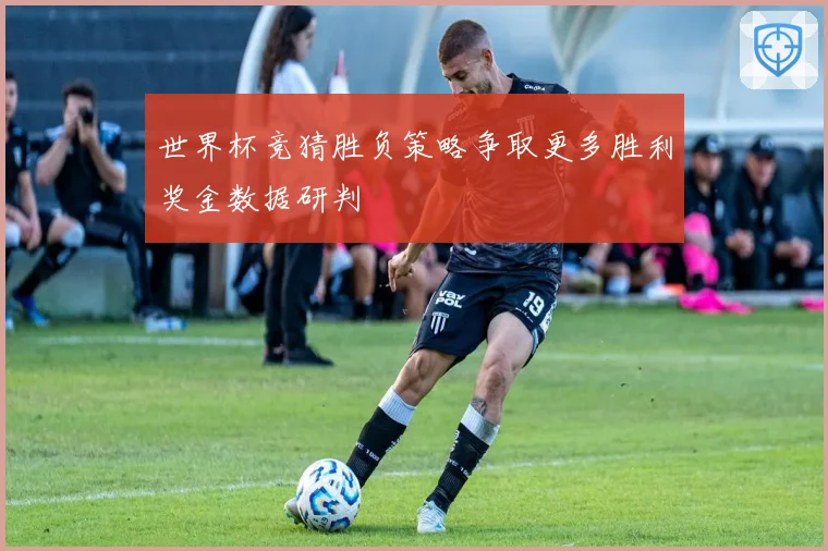 世界杯竞猜胜负策略争取更多胜利奖金数据研判