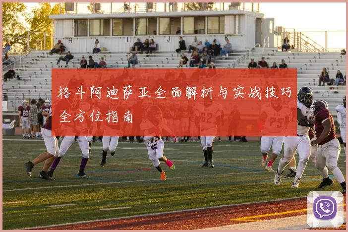 格斗阿迪萨亚全面解析与实战技巧全方位指南
